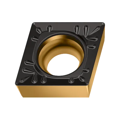 CCMT060204-RP4 WPP10G