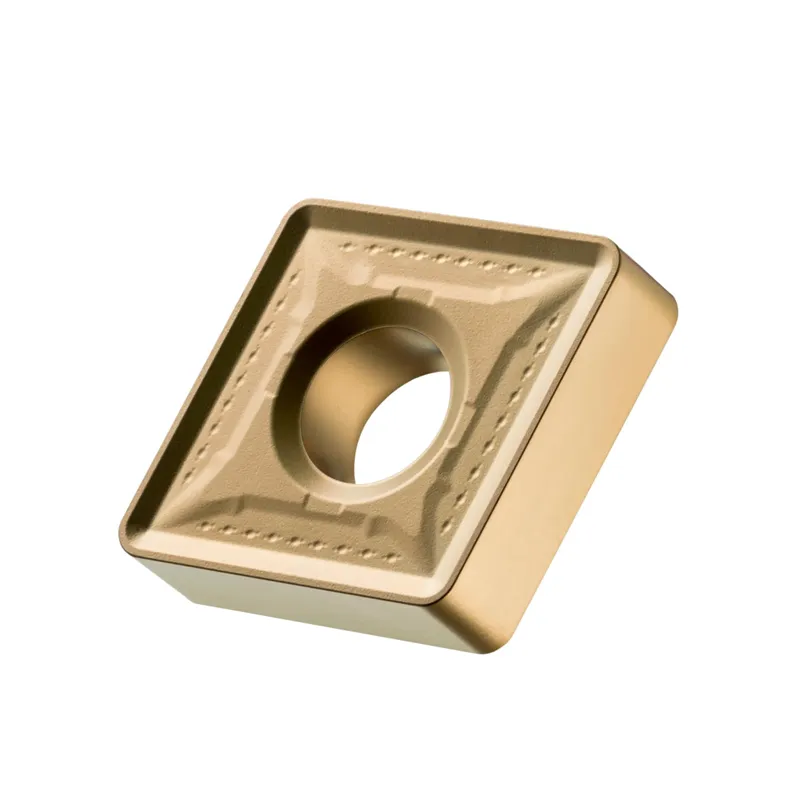 CNMM 190624-HR2:T9415