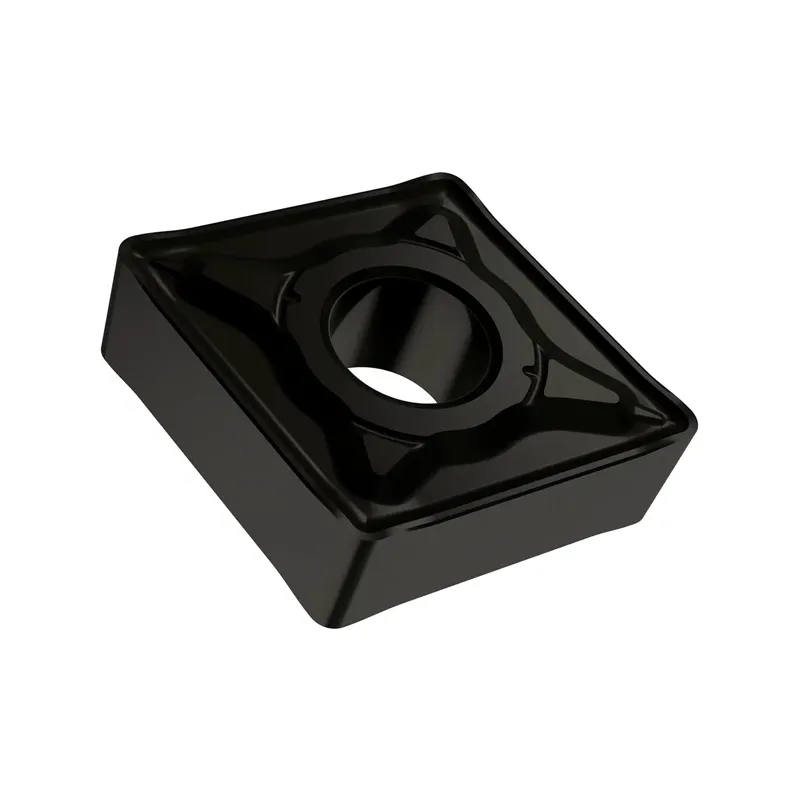 CNMM 250924-NRM:T7325